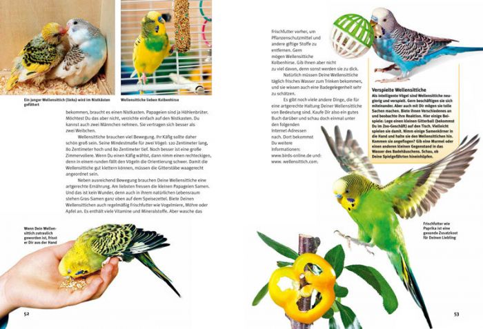 その他美術関連出品中希少 The Parrots Die Papageien 鳥 コレクター 画集