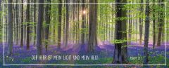 Metallschild lang - Wald