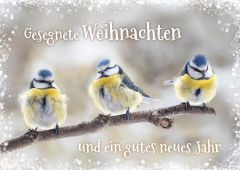 Postkartenserie "Gesegnete Weihnachten" 12 Stk.