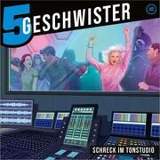 5 Geschwister 40 - Schreck im Tonstudio Schuffenhauer, Tobias/Schier, Tobias 4029856407401