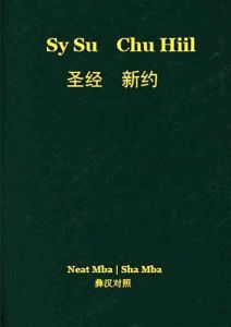 New Testament (Western Guizhou Yi-Neasu/Chinese)