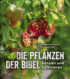 Die Pflanzen der Bibel Kawollek, Wolfgang/Falk, Henning 9783818612993