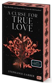 A Curse for True Love Garber, Stephanie 9783570167199