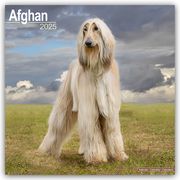 Afghan - Afghanen 2025 - 16-Monatskalender  9781804603017