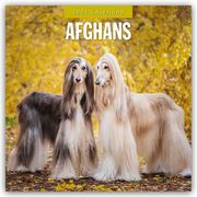 Afghans - Afghanischer Windhund 2025 - 16-Monatskalender  9781804424155