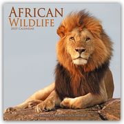 African Wildlife - Afrikanische Tierwelt 2025 - 16-Monatskalender  9781804604168