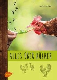 Alles über Hühner Husson, Hervé 9783800103881