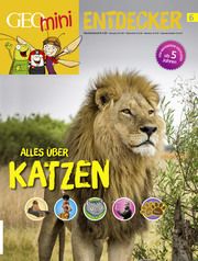 Alles über Katzen Wetscher, Rosa 9783652011082