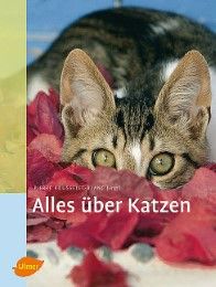 Alles über Katzen Claudia Händel 9783800155811