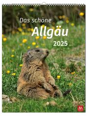 Allgäu 2025  9783985160556