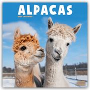 Alpacas - Alpakas 2025 - 16-Monatskalender  9781804604175