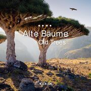 Alte Bäume - KUNTH Broschurkalender 2025  9783965914018