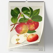 Alte Obstsorten 2025  9783968491547