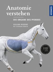 Anatomie verstehen - Die Organe des Pferdes Higgins, Gillian/Martin, Stephanie 9783440162040