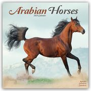 Arabians - Araber - Araber Pferde 2025 - 16-Monatskalender  9781804604199
