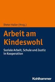 Arbeit am Kindeswohl Dieter Haller 9783170412781