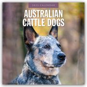 Australian Cattle Dogs - Australian Cattle Dog 2025 - 16-Monatskalender  9781804424216