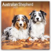 Australian Shepherd - Australische Schäferhunde 2025 - 16-Monatskalender  9781804603086