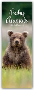 Baby Animals - Tierkinder - Slimline-Kalender 2025  9781835365557