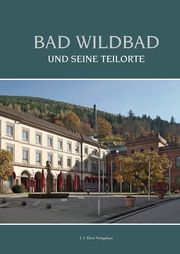 Bad Wildbad und seine Teilorte Plappert, Wolfgang/Hamann-Reister, Barbara/Schafranek, Heinz u a 9783948968878