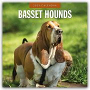 Basset Hounds - Basset Hound 2025 - 16-Monatskalender  9781804424230