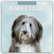 Bearded Collies - Bearded Collie 2025 - 16-Monatskalender  9781804424254