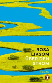 Über den Strom Liksom, Rosa 9783328602637