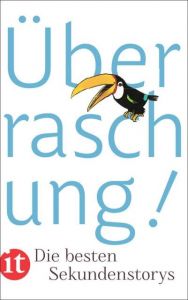 Überraschung! Clara Paul 9783458360643