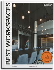 Best Workspaces 2023 Rief, Stefan/Vetter, Andreas K 9783766726124