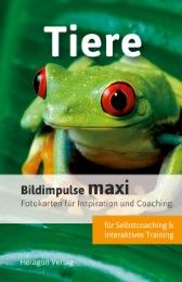 Bildimpulse maxi: Tiere Pack, Bodo 9783942805827
