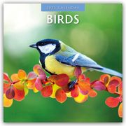 Birds - Vögel 2025 - 16-Monatskalender  9781804423714