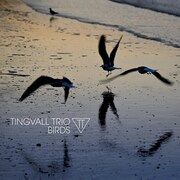 Birds Tingvall Trio 4037688919726