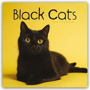 Black Cats - Schwarze Katzen 2025 - Wand-Kalender  9781529845099
