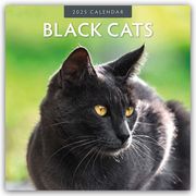 Black Cats - Schwarze Katzen 2025 - 16-Monatskalender  9781804423721