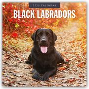 Black Labrador Retrievers - Schwarze Labrador Retriever 2025 - 16-Monatskalender  9781804424315