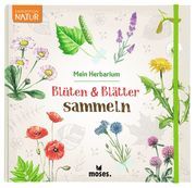 Blüten & Blätter sammeln Küpper, Anke 9783964551924