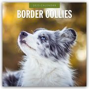 Border Collies - Border Collie 2025 - 16-Monatskalender  9781804424339