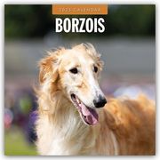 Borzois - Barsoi - Barzaia - Russischer Wolfshund 2025 - 16-Monatskalender  9781804424353