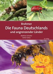 Brohmer - Die Fauna Deutschlands und angrenzender Länder Matthias Schaefer/Stefan Scheu 9783494019567