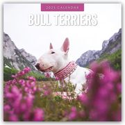 Bull Terriers - Bullterrier 2025 - 16-Monatskalender  9781804424407