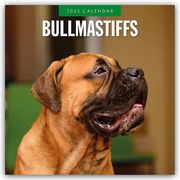 Bullmastiffs - Bullmastiff 2025 - 16-Monatskalender  9781804424421