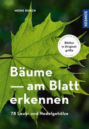 Bäume am Blatt erkennen Bosch, Meike 9783440170878