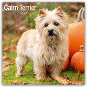 Cairn Terrier - Cairn Terrier 2025 - 16-Monatskalender  9781804603253