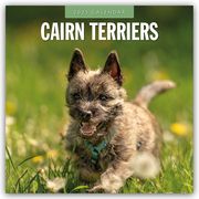 Cairn Terriers - Cairn Terrier 2025 - 16-Monatskalender  9781804424438