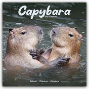 Capybara - Wasserschwein 2025 - 16-Monatskalender  9781804604236