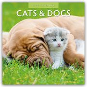 Cats & Dogs - Katzen & Hunde 2025 - 16-Monatskalender  9781804423752