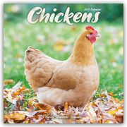 Chickens - Hühner 2025 - 16-Monatskalender  9781804604274
