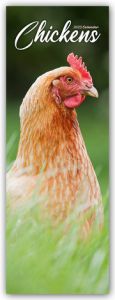 Chickens - Hühner 2025  9781804605233