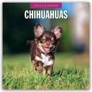 Chihuahuas - Chihuahua 2025 - 16-Monatskalender  9781804424469