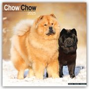 Chow Chow 2025 - 16-Monatskalender  9781804603291